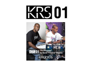 Korg KRS 01 Pro Grooves by David "Fingers" Haynes