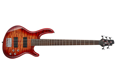 Cort Action V-DLX