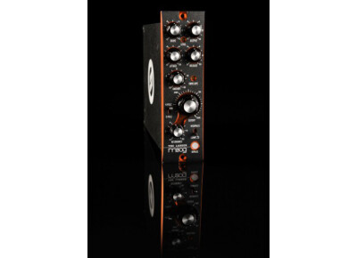 Moog Music The Ladder