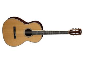 Cort L900P