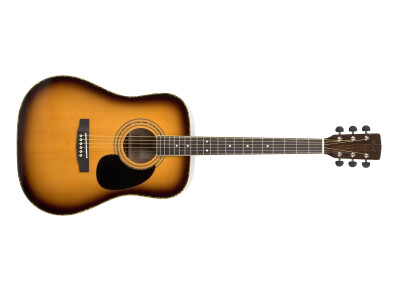 Cort AD880