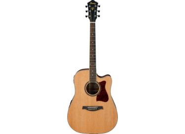 Ibanez V74ECE