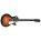 Epiphone Les Paul 100