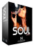 Platinumloops Soul Loops v1