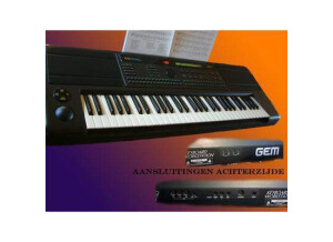 GEM WS2