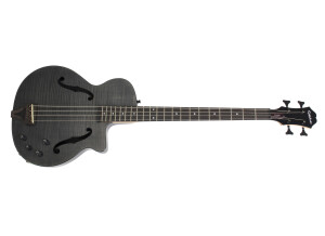 Epiphone Zenith