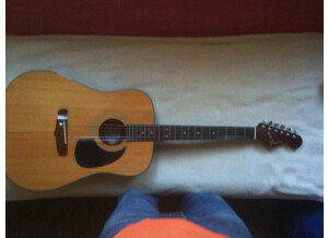 Fender AG15-N
