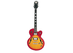 Epiphone Alleykat