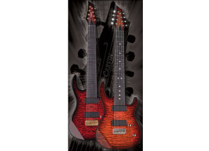 Carvin DC800