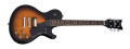 Schecter Solo & Vintage Special
