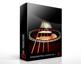 8dio Songwriting Guitar Vol. 1