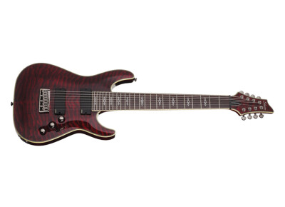 Schecter Hellraiser Special C-8