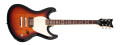 Schecter Shaun Morgan Signature