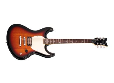 Schecter Shaun Morgan