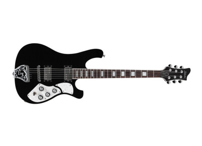Schecter Stargazer