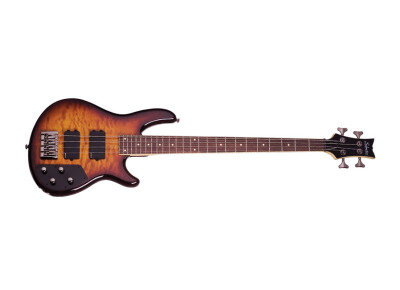 Schecter Raiden Elite-4