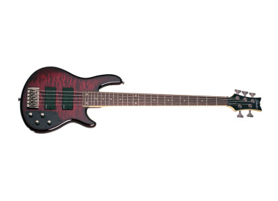 Schecter Raiden Elite-5