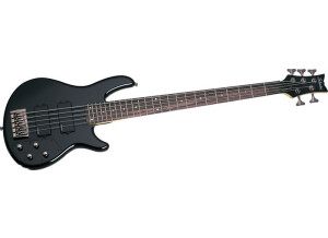 Schecter Raiden Custom-5