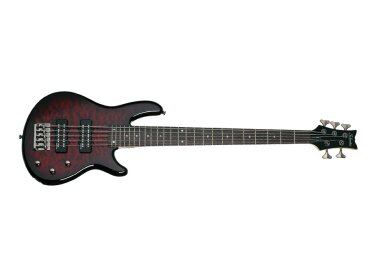 Schecter Raiden Special-5