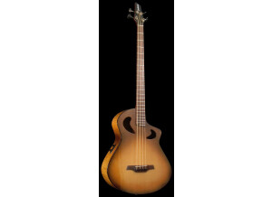 Veillette Cutaway Acoustic Bass