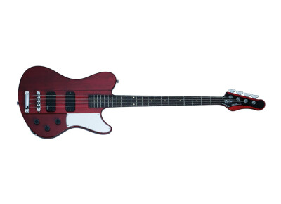 Schecter Ultra Bass (2010-2019)