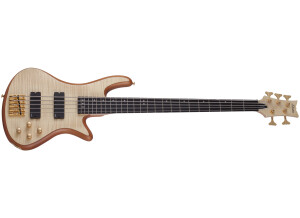 Schecter Stiletto Custom-5