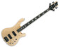 Schecter 004