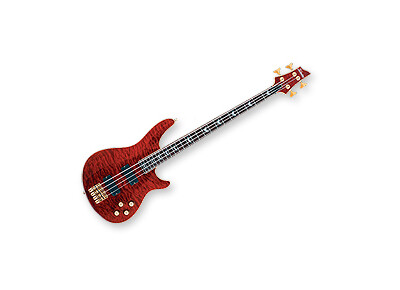Schecter C-4