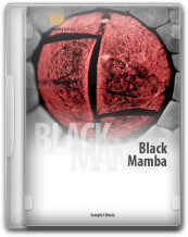 Analog Factory Black Mamba