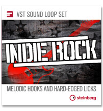 Steinberg Indie Rock