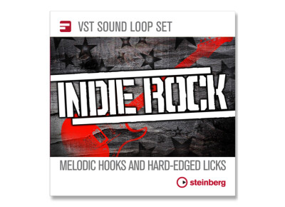 Steinberg Indie Rock