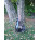 Voir la photo de la Paul Beuscher Les Paul Paul Beuscher Les Paul
