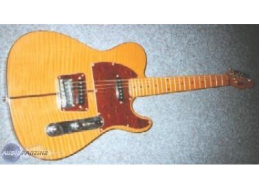 Hohner Telecaster The Prinz