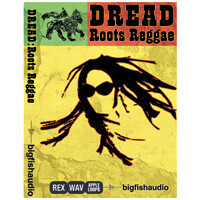 Big Fish Audio Dread : Roots Reggae