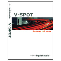 Big Fish Audio V-Spot