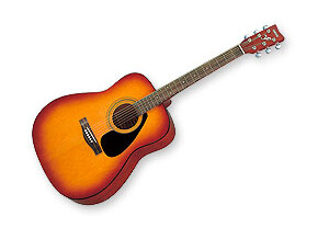 Yamaha F310