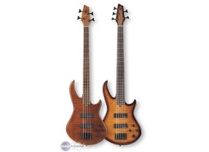 Godin BG-4 Bass