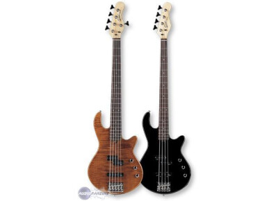 Godin Freeway 5 Bass