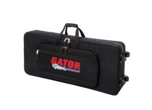 Gator Cases GK-49
