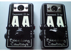 Bleeding Cowboys Anonymous Amp