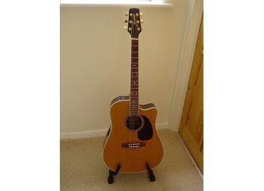 Takamine TS74C