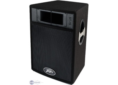 Peavey ST-15