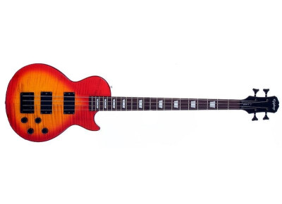 Epiphone Les Paul Special Bass (1998-2002)