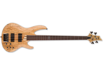LTD B-204SM Fretless
