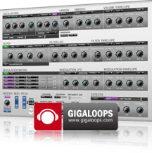 DiscoDSP Gigaloops Corona Dance Sound Bank