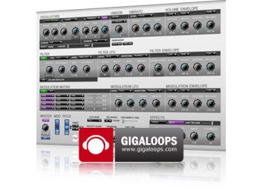 DiscoDSP Gigaloops Corona Dance Sound Bank