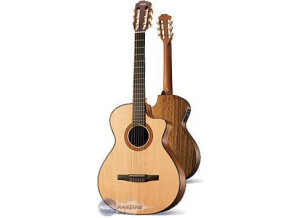 Taylor NS42CE