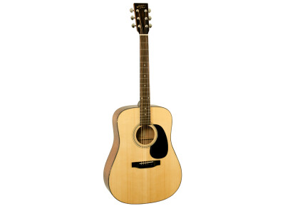 Recording King RD-310