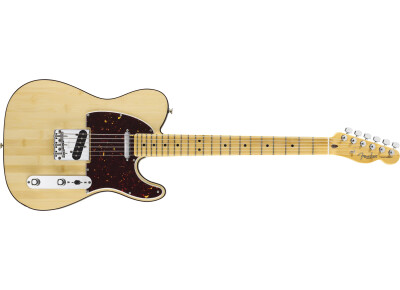 Fender Tele-Bration Lamboo Telecaster