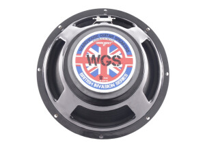 Warehouse Guitar Speakers Green Beret